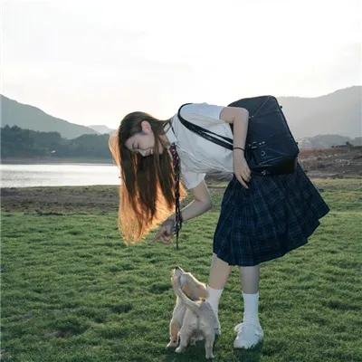 神秘女王蜂